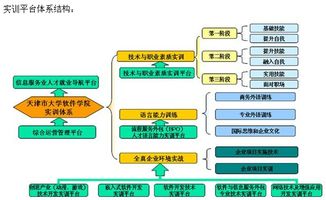 天津市大學軟件學院挑戰(zhàn)杯官網網絡技術開發(fā)實踐